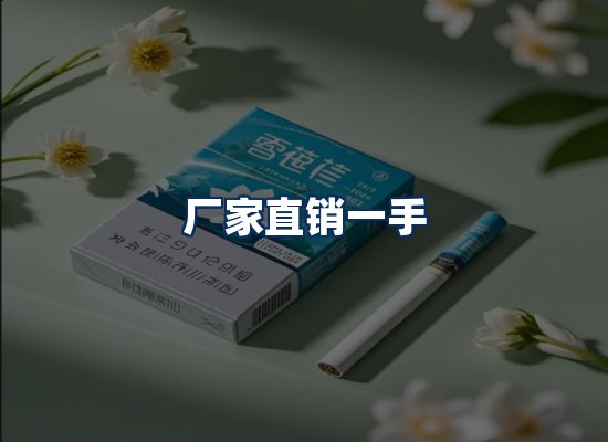 专业团队办公环境